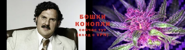 ешки Верхний Тагил