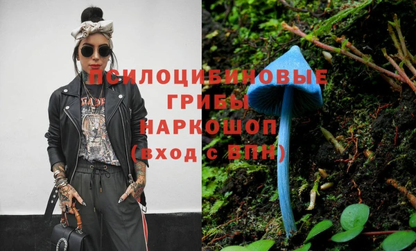 ешки Верхний Тагил